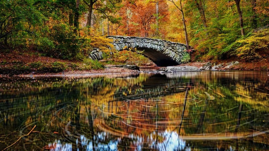 A Bridge to a Better Place