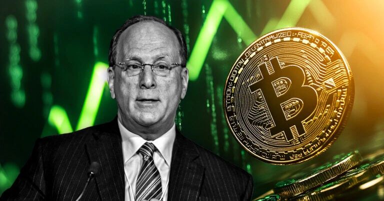The Crypto Craze